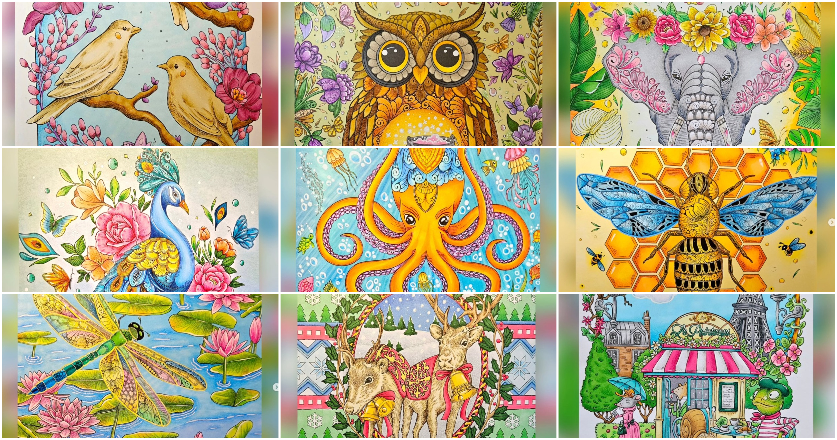 Målat vintern 2024/2025